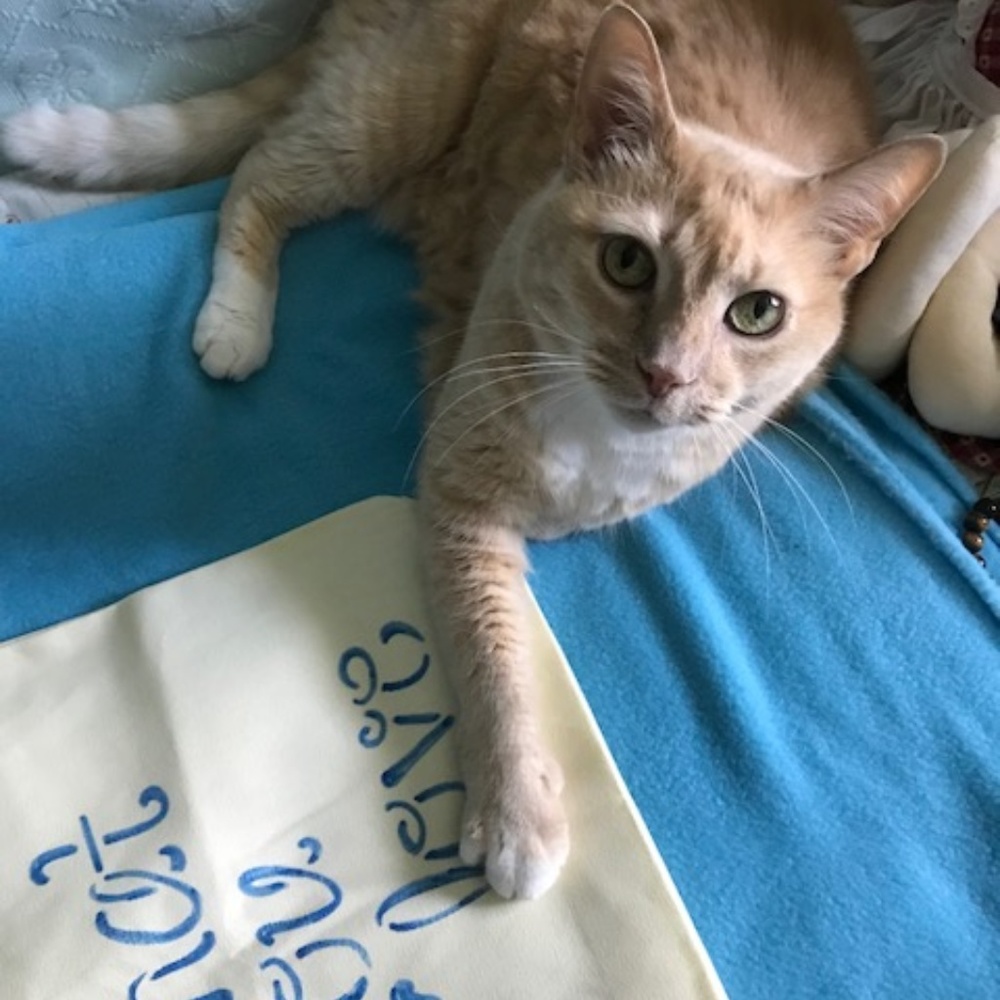 cotton tote bag  ( Do What you Love) - Picture 3 of 3